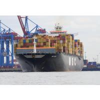 7350 Cargoship MSC INES - Burchardkai Hafen Hamburg | 